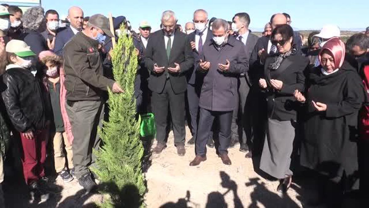 Aladağ'da yanan ormanlık alanlar fidanla buluşturuldu