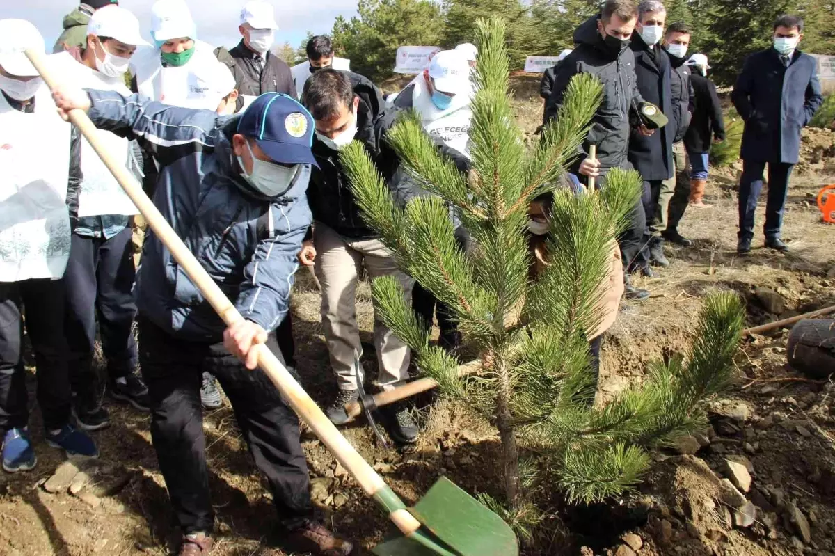 Yozgat'ta fidan dikimi gerçekleştirildi