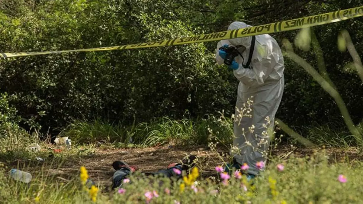 Çoban dağda gezerken buldu! İşkence edilerek öldürülen adamın cesedini hayvanlar yemiş