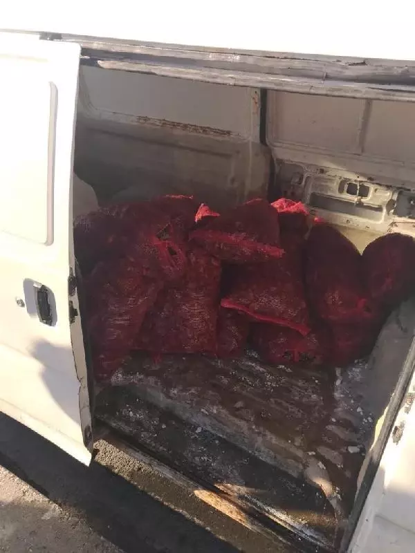 SARIYER VE BAKIRKÖY'DE KAÇAK AVLANAN 2 BUÇUK TON MİDYEYE EL KONULDU