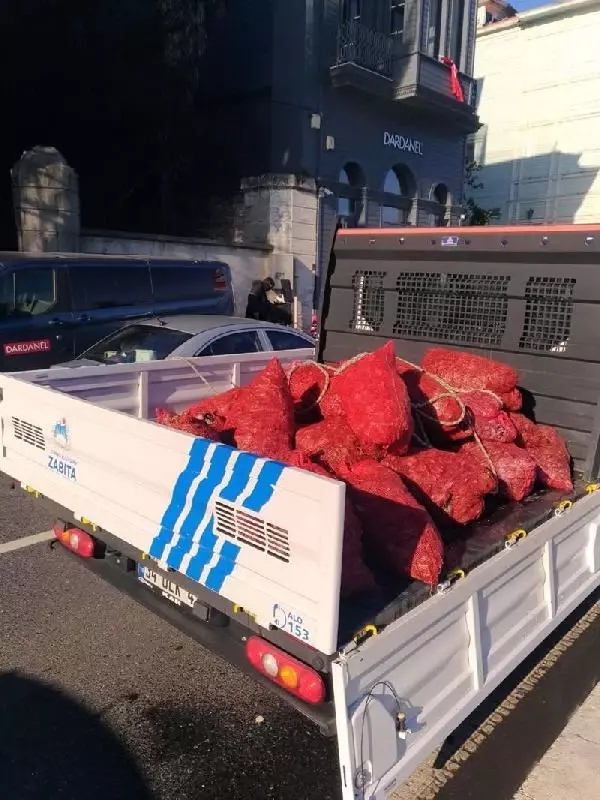 SARIYER VE BAKIRKÖY'DE KAÇAK AVLANAN 2 BUÇUK TON MİDYEYE EL KONULDU