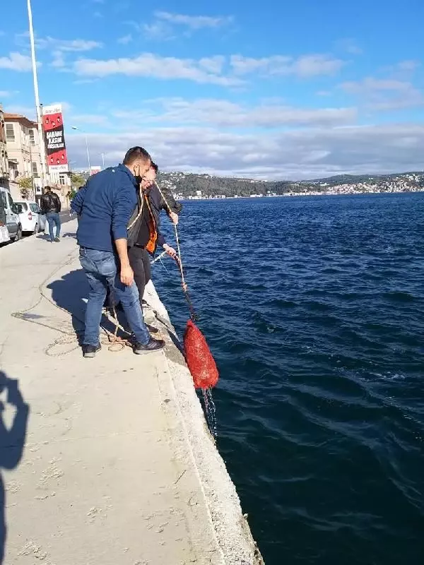 SARIYER VE BAKIRKÖY'DE KAÇAK AVLANAN 2 BUÇUK TON MİDYEYE EL KONULDU