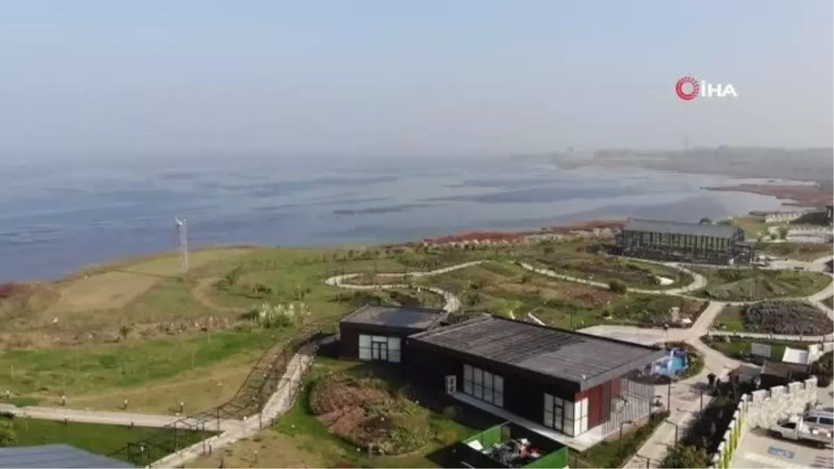 81 vilayette yetişen şifalı bitkileri tek bahçede yetiştirdiler