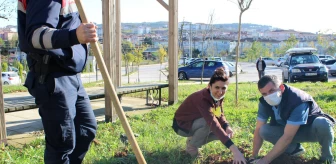 Ferizli'de hastane bahçesi hasta ve yakınları için ağaçlandırılıyor