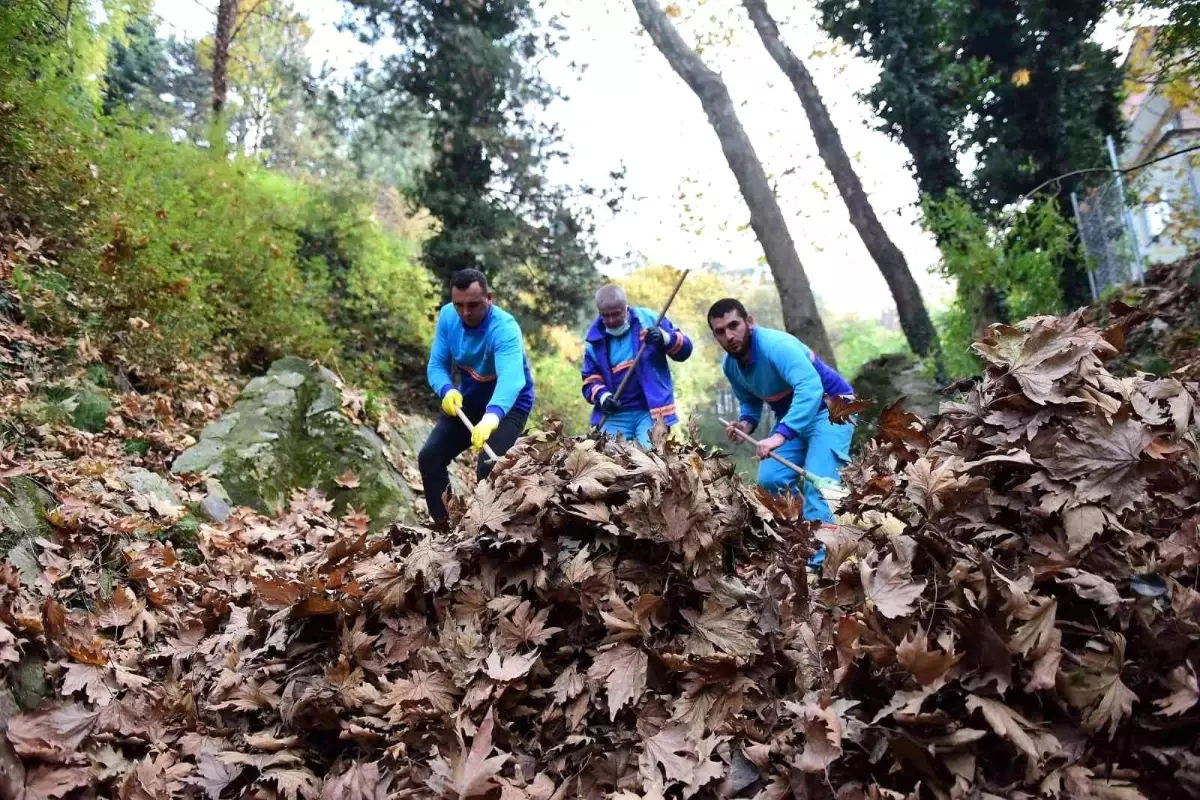 Karıncadere'den 80 ton hafriyat çıkarıldı
