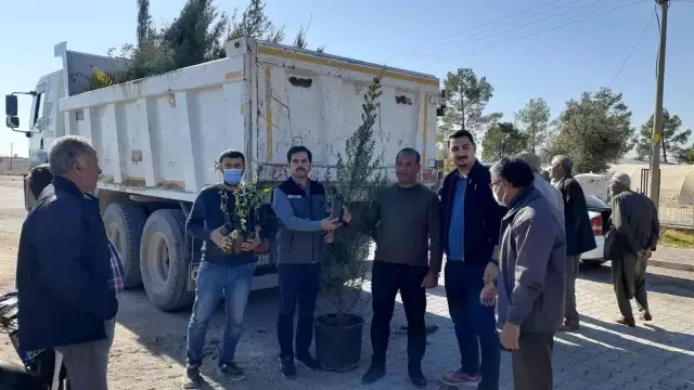 Samsat'ta cami cemaatine fidan dağıtıldı