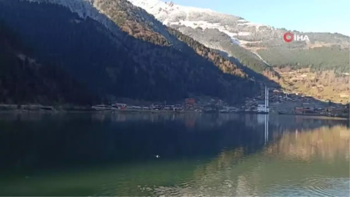 Uzungöl'deki balık ölümleri ve balıklardaki mantar hastalığı ile ilgili inceleme başlatıldı
