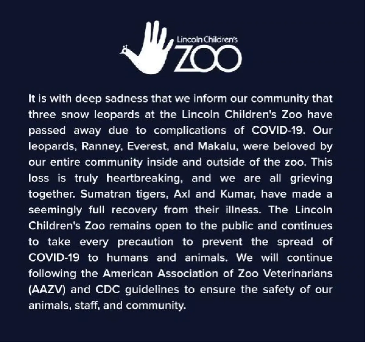 Son dakika haberi: ABD'de 3 kar leoparı Kovid-19'dan öldü