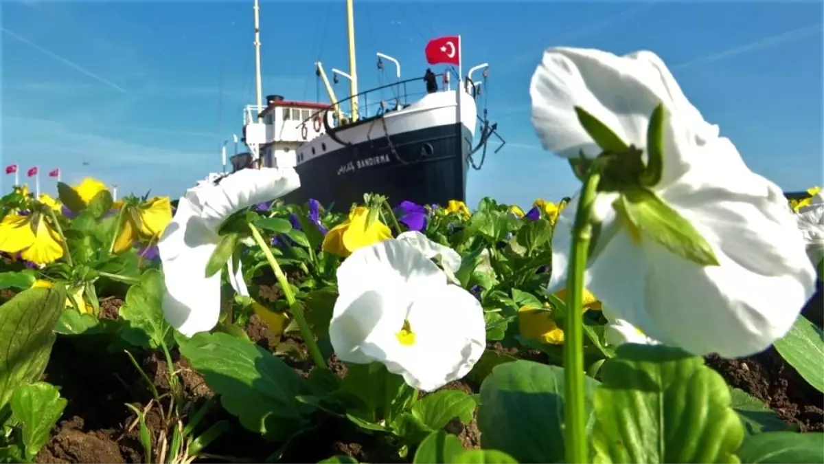 Samsun kışın da çiçek bahçesi