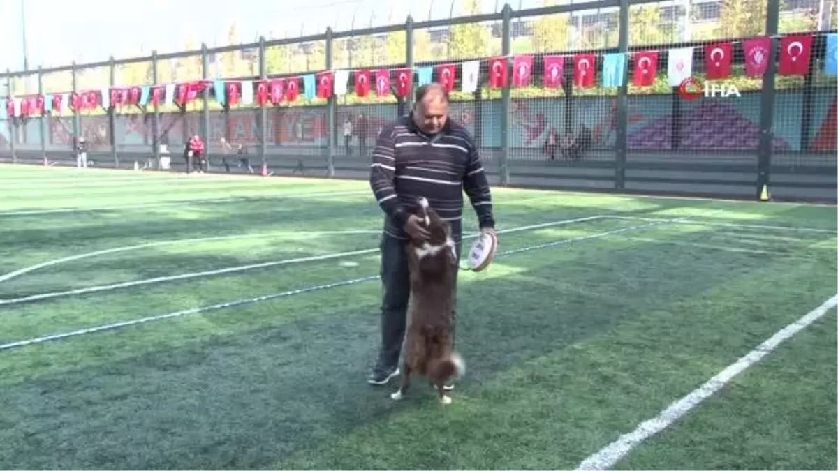 Ümraniye'de düzenlenen 'Köpekli Frizbi Yarışması' renkli görüntülere sahne oldu