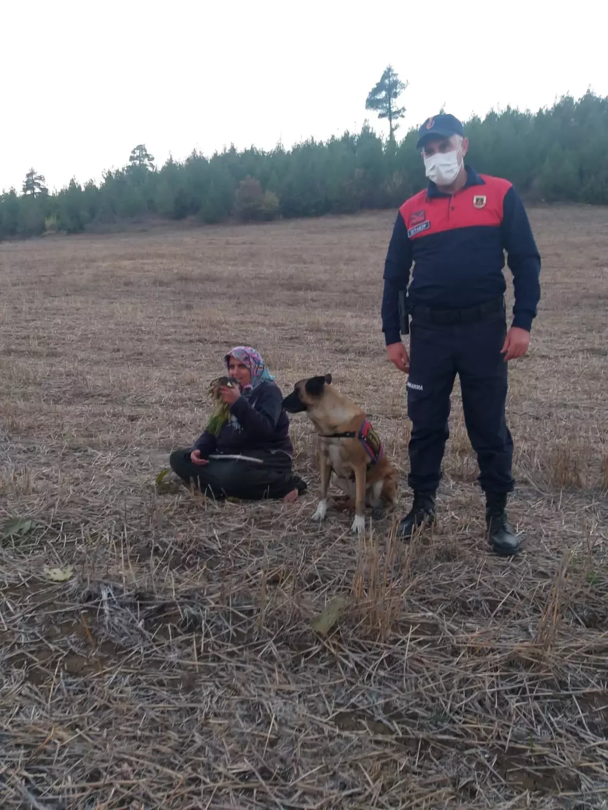 Adana'da 3 gün önce kaybolan kadın ormanlık alanda bulundu