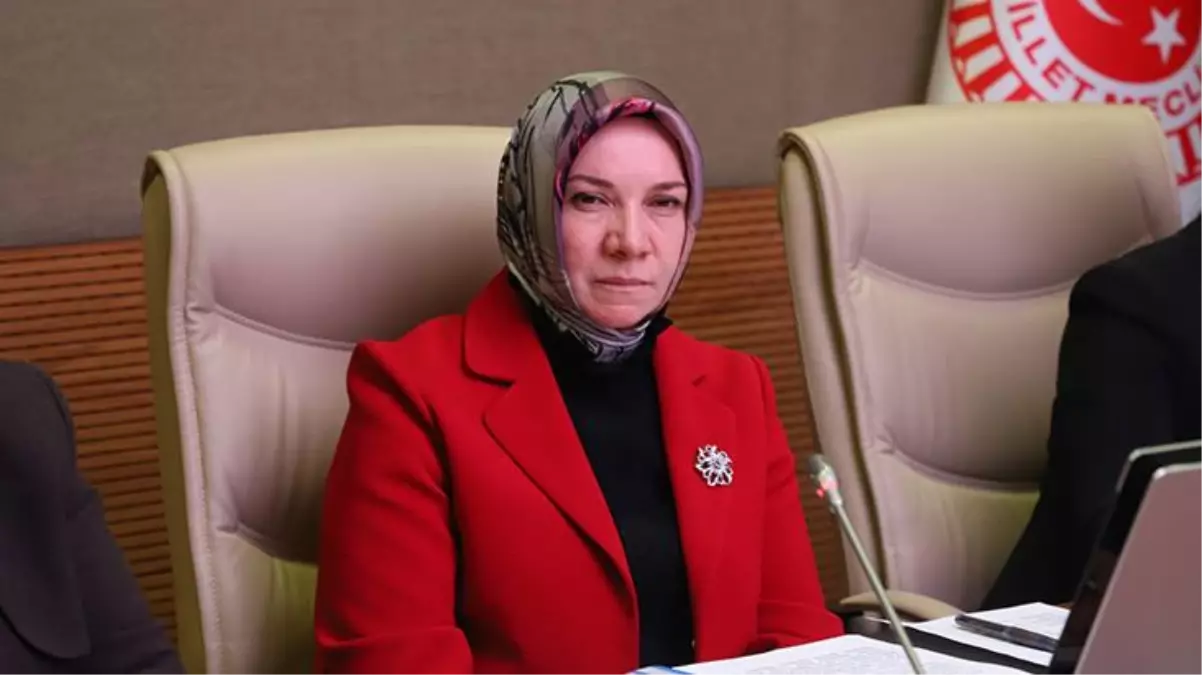AK Partili Hülya Atçı Nergis'ten tepki çeken asgari ücret açıklaması: Onu düşünenler düşünsün