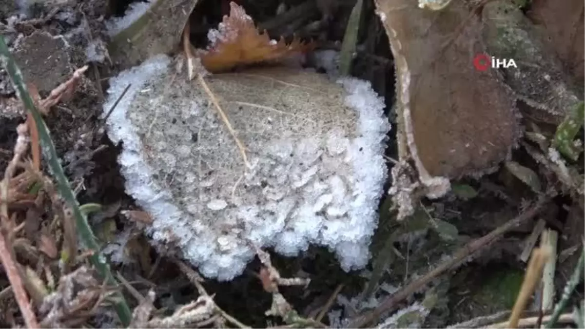 Ardahan'da soğuk hava etkili oluyor