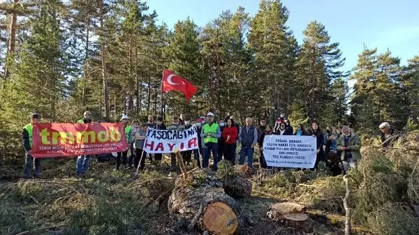 Son dakika haberleri! Ayman Yaylası'na taş ocağı için 'ÇED gerekli değildir' kararı; köylüler tepki gösterdi