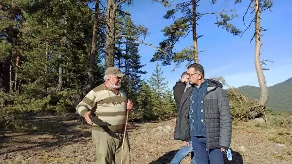 Son dakika haberleri! Ayman Yaylası'na taş ocağı için 'ÇED gerekli değildir' kararı; köylüler tepki gösterdi