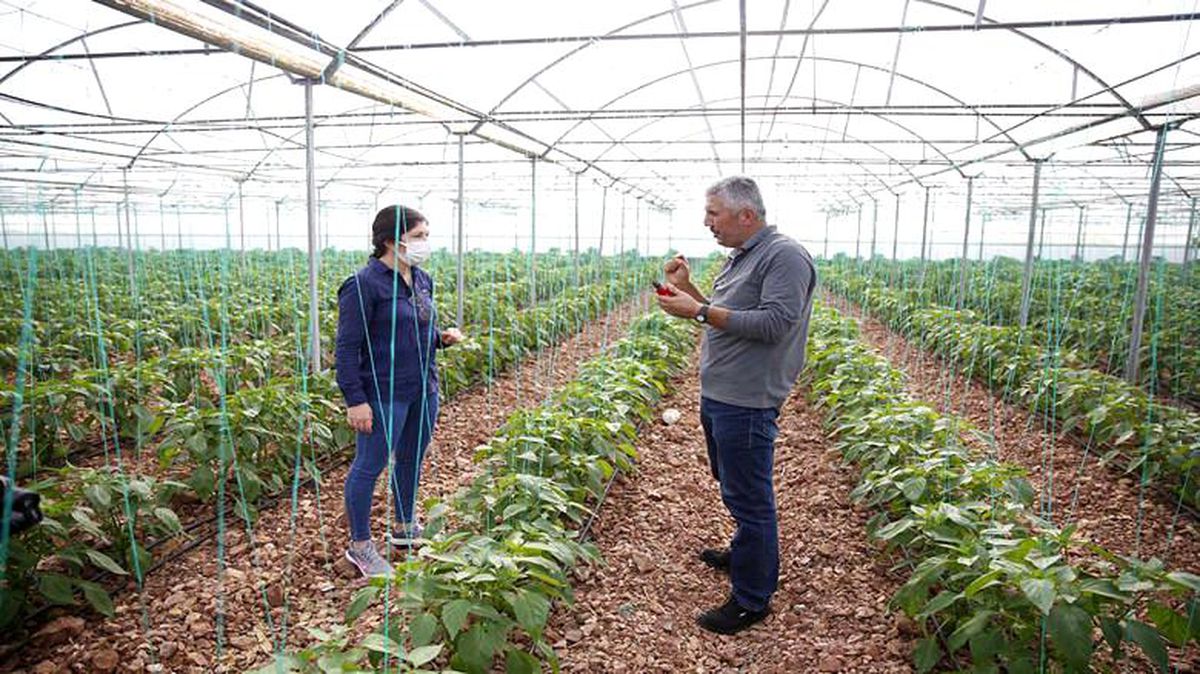 Büyükşehir Akıllı Tarım Uygulamalarını genişletiyor