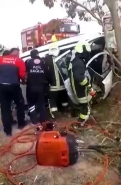 Köpeğe çarpmamak için kaza yapan otomobildeki kadın hayatını kaybetti