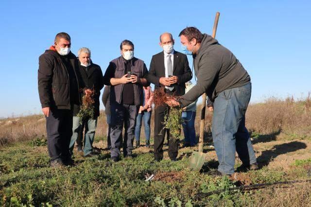 Ünü Avrupa'ya yayılınca formülü padişah fermanıyla saklanmıştı! Türk kırmızısı yeniden çıkarılacak Ünü Avrupa'ya yayılınca formülü padişah fermanıyla saklanmıştı! Türk kırmızısı yeniden çıkarılacak