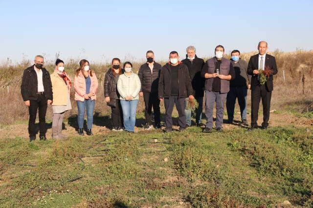 Ünü Avrupa'ya yayılınca formülü padişah fermanıyla saklanmıştı! Türk kırmızısı yeniden çıkarılacak Ünü Avrupa'ya yayılınca formülü padişah fermanıyla saklanmıştı! Türk kırmızısı yeniden çıkarılacak