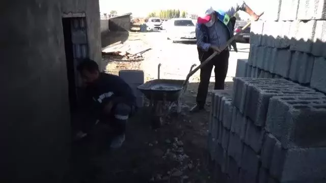 Bana Göz Kulak Ol Derneğince sokak hayvanları için barınaklar inşa edildi