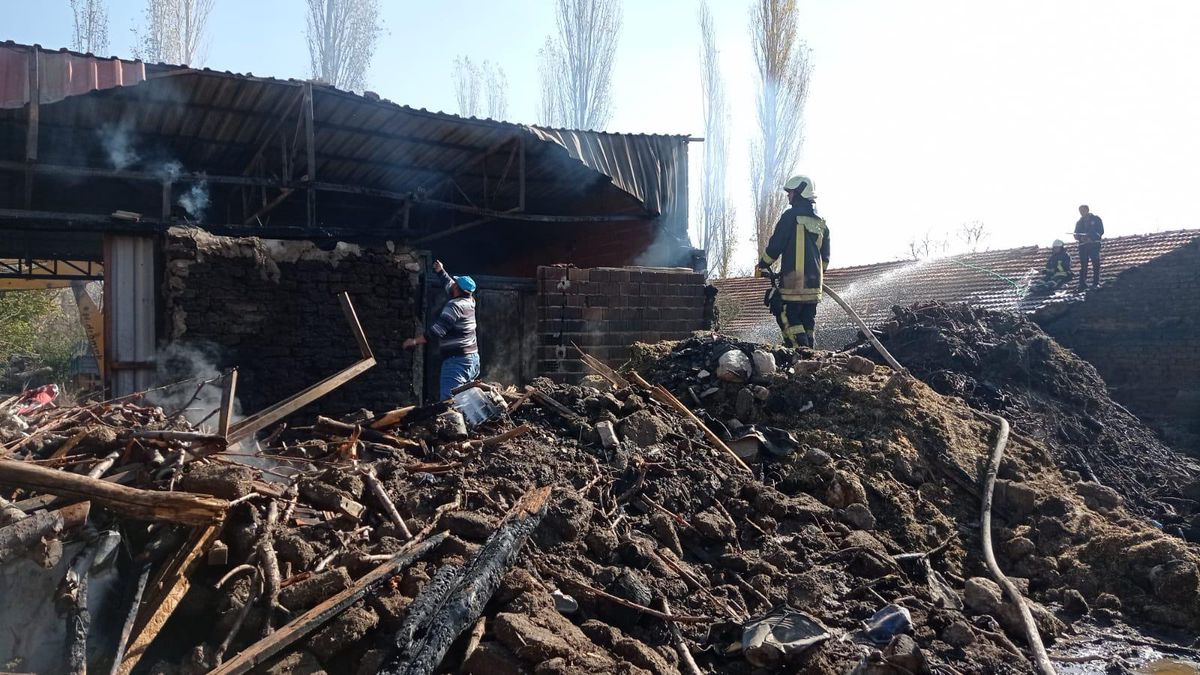 Son dakika haber! Denizli'de yangın çıkan depoda bulunan köpekleri jandarma kurtardı