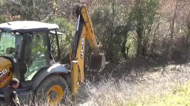 Domuz kapanına yakalanan bozayı ekiplerce kurtarıldı