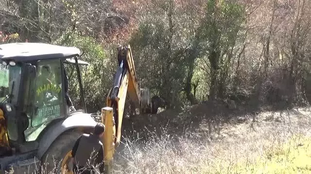 Domuz kapanına yakalanan bozayı ekiplerce kurtarıldı