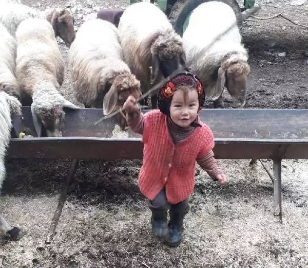 KAYIP MÜSLÜME'Yİ ARAMA ÇALIŞMALARINDA 7'NCİ GÜN