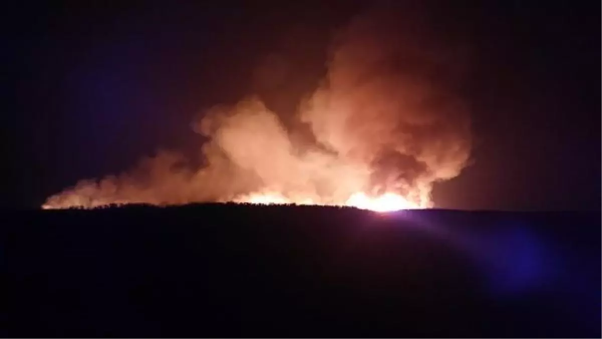 Sultan Sazlığı Milli Parkı'nda yangın