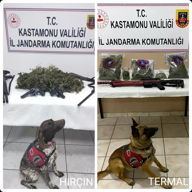 Uyuşturucu tacirlerinin kabusu Termal