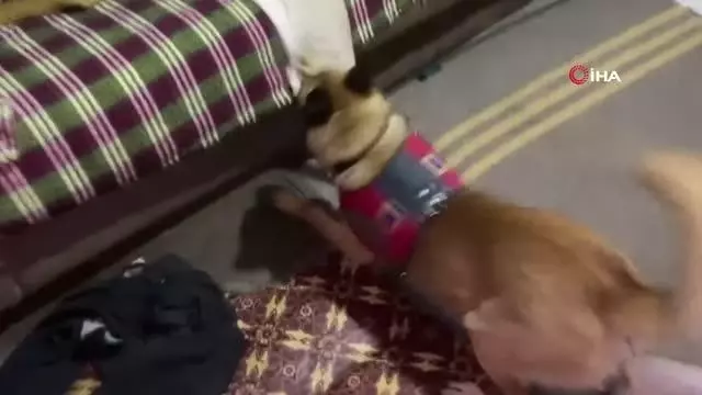Uyuşturucu tacirlerinin kabusu Termal
