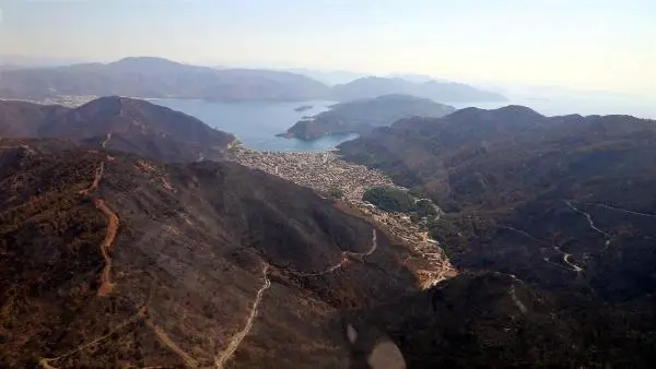 Son dakika haber | MARMARİS'TE, 3 AYDA YANGINDA ZARAR GÖREN 1500 HEKTAR ALANDAKİ AĞAÇLAR KESİLDİ