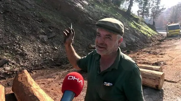 Son dakika haber | MARMARİS'TE, 3 AYDA YANGINDA ZARAR GÖREN 1500 HEKTAR ALANDAKİ AĞAÇLAR KESİLDİ