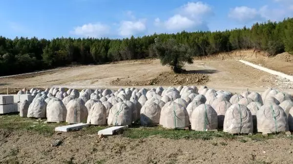 Son dakika haberleri... SÜNGÜYLE DÜŞMANA GEÇİT VERMEYEN ŞEHİTLERİN MEZARLARI İHYA EDİLİYOR