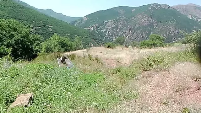 Tunceli'deki yaban hayatı çeşitliliği fotokapanlara yansıdı