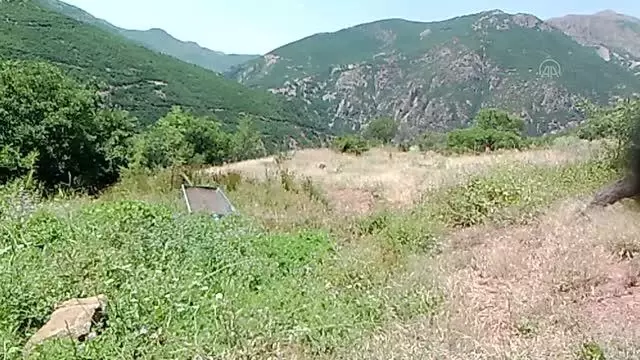 Tunceli'deki yaban hayatı çeşitliliği fotokapanlara yansıdı