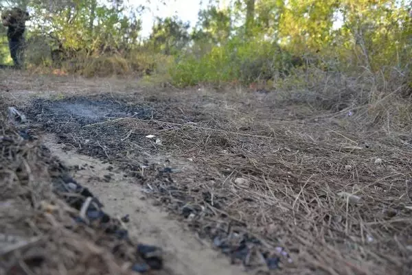 Adana'da PKK talimatıyla 5 kez orman yakan sanığa ağırlaştırılmış müebbet istemi