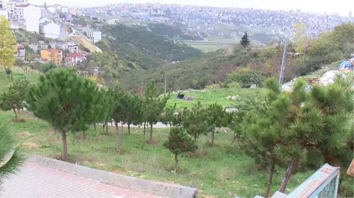 Hamile kadının karnından aldıkları cenini ormanlık alana attılar