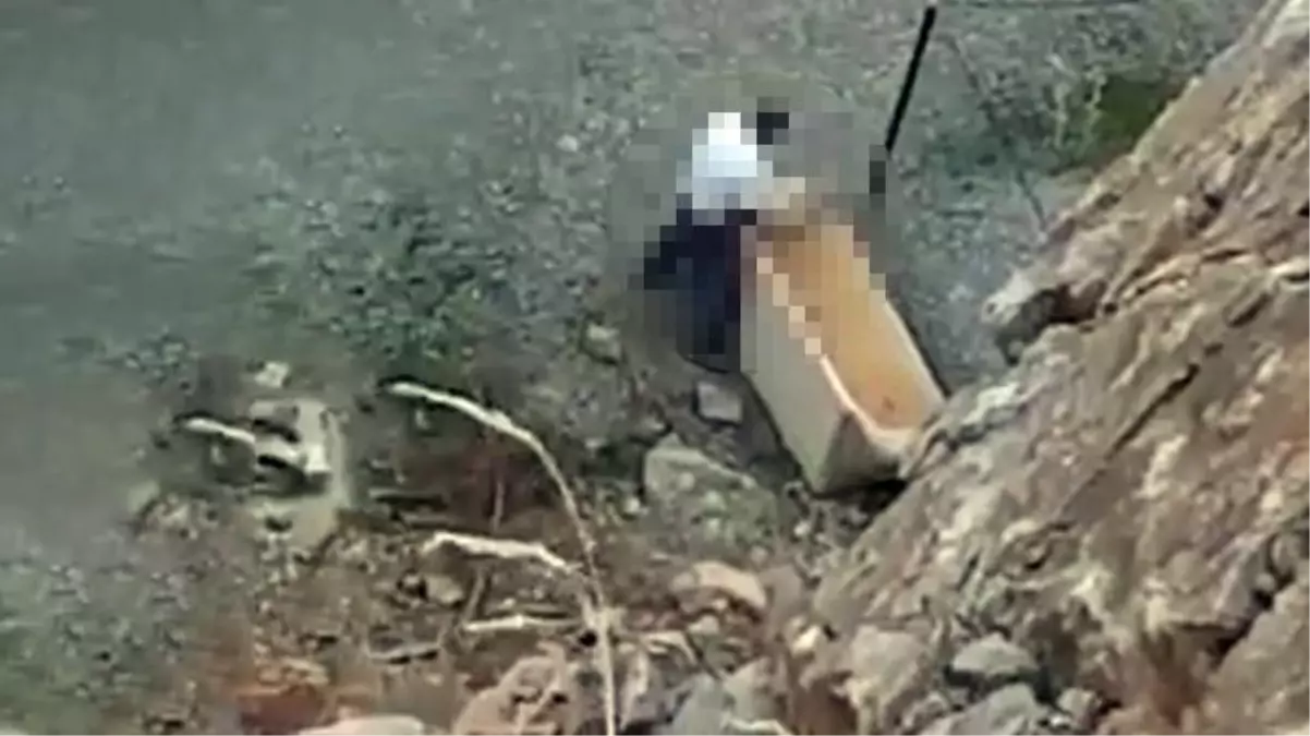 Taş ocağındaki bekçiden köpeğe cinsel saldırı! O anlar vatandaş kamerasında