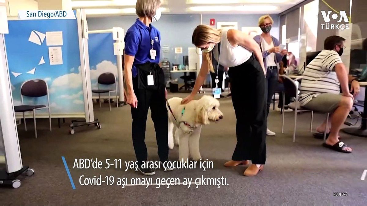 Terapi Köpeklerinden Covid Aşısı Olan Çocuklara Destek