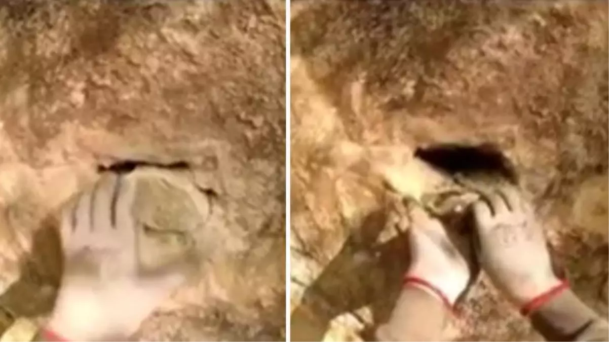 Türk defineci kazı sırasında taş kesilmiş yılan buldu! Hakkındaki hikaye çok ürkütücü