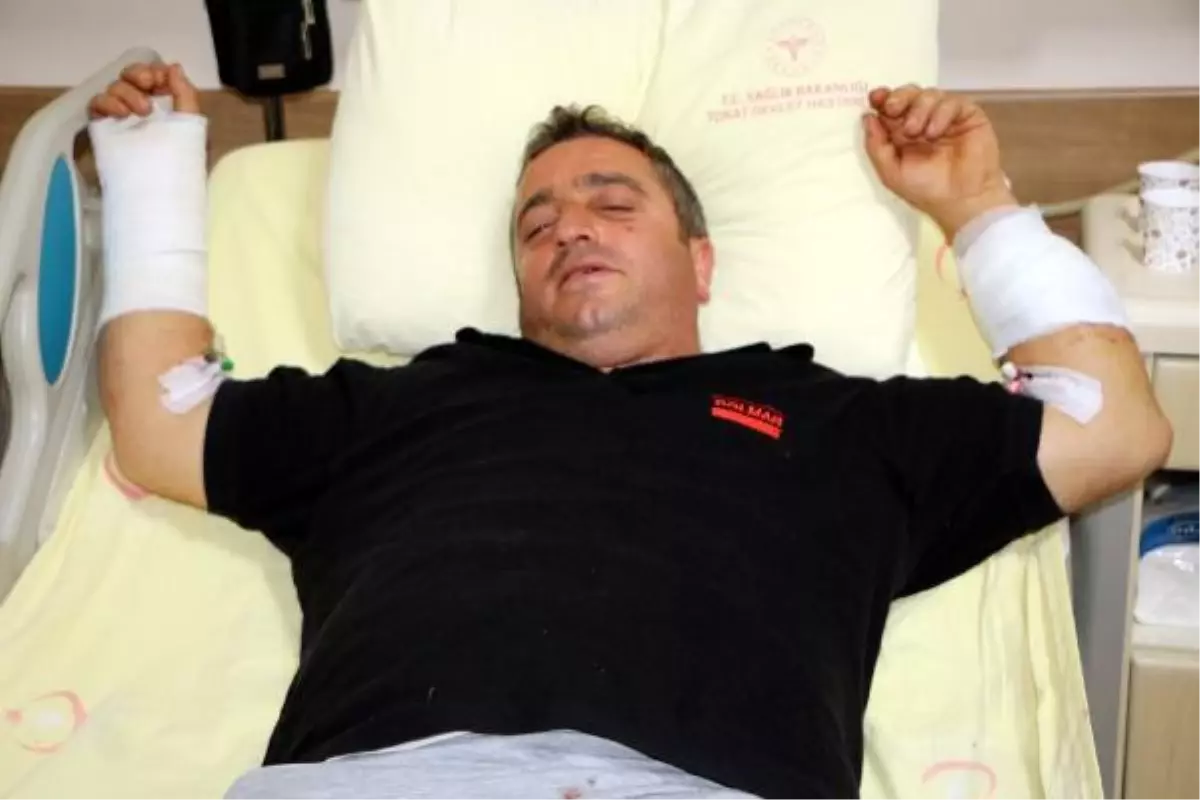 Saldırıya uğrayan Tokatlı çiftçi: Siz bir de ayıyı görün, daha perişan