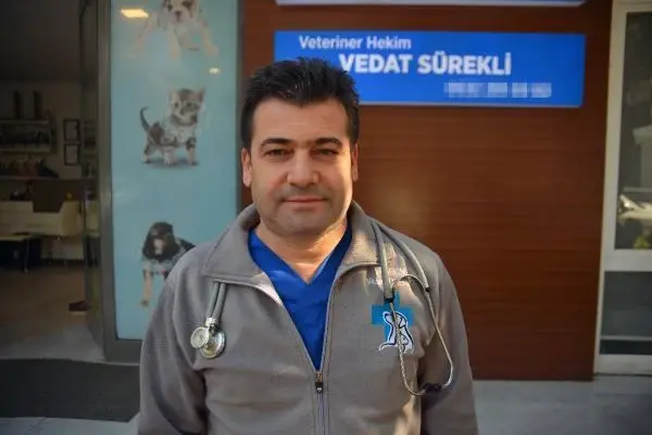 Eskiden yasaklı ırk olan köpekler için kısırlaştırma ve çip taktırma süresi daralıyor