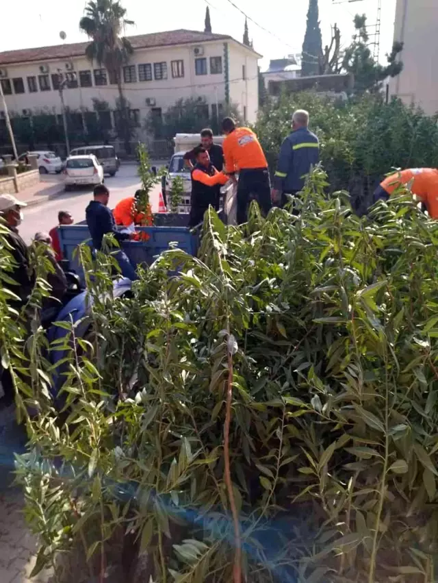 Mut'ta üreticiye bin 640 badem fidanı dağıtıldı