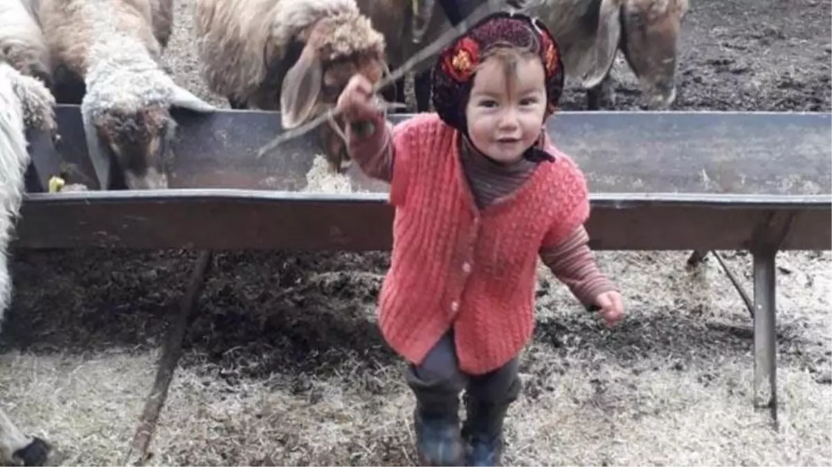 Son Dakika: Mersin'de 10 gündür her yerde aranan 3 yaşındaki Yörük kızı Müslüme'nin cansız bedeni bulundu