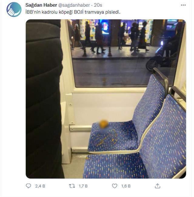 Köpek Boji'ye kumpas kuran kişiye suç duyurusunda bulunulacak