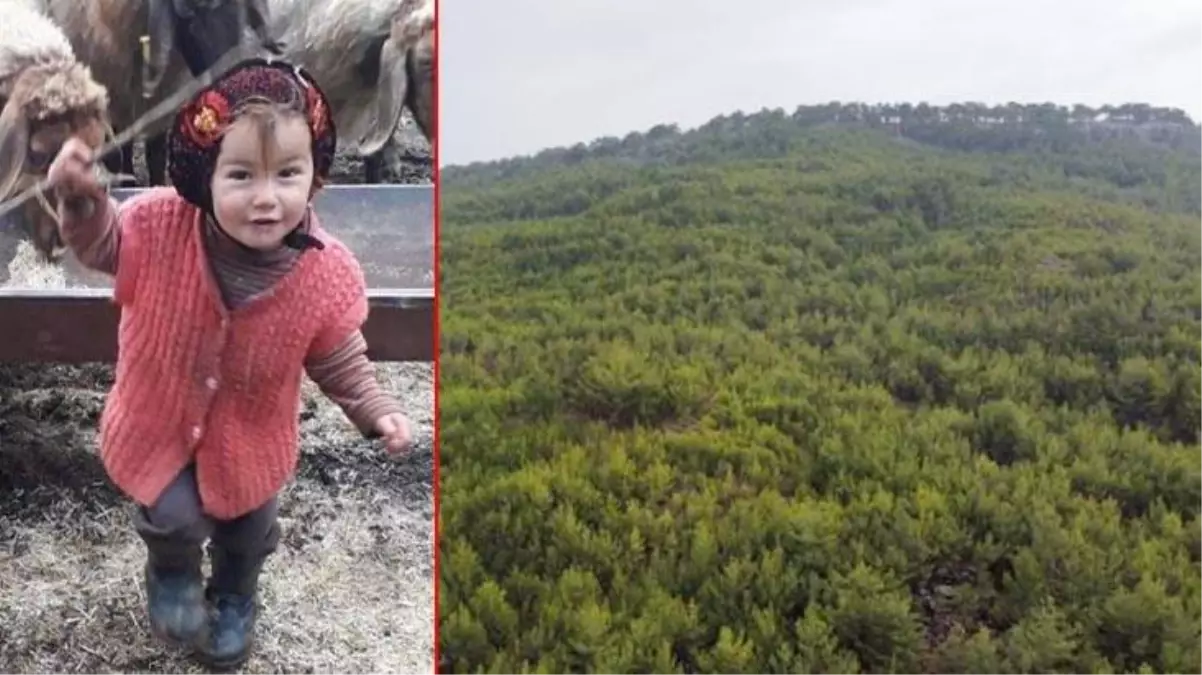 Müslüme, cansız bedeninin bulunduğu dağlık alana nasıl gitti? Ekipler babanın işaret ettiği kişilerin peşinde