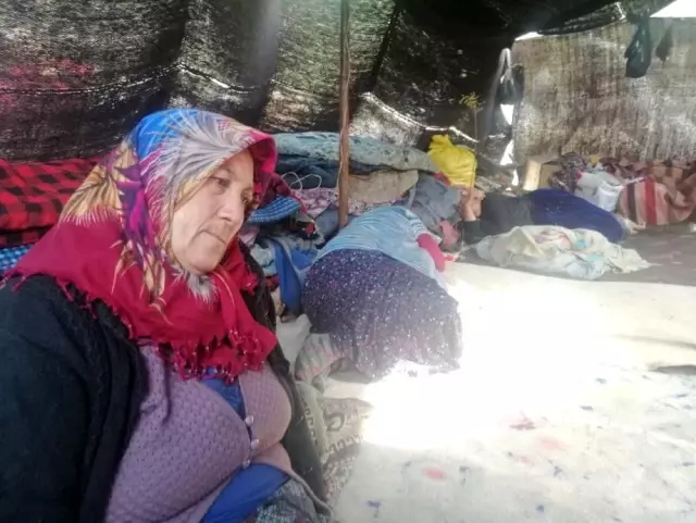 muslume nin dedesi ve anneannesi serbest birakildi 6 kisinin sorgusu 24 saattir suruyor muslume nin dedesi ve anneannesi serbest birakildi 6 kisinin sorgusu 24 saattir suruyor