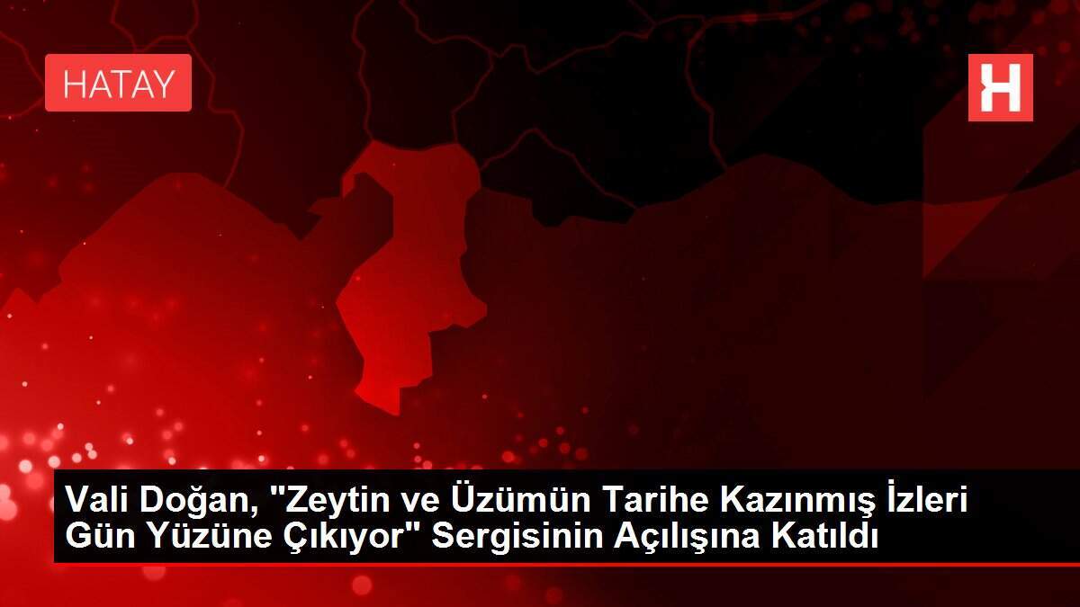 Vali Doğan, 'Zeytin ve Üzümün Tarihe Kazınmış İzleri Gün Yüzüne Çıkıyor' Sergisinin Açılışına Katıldı
