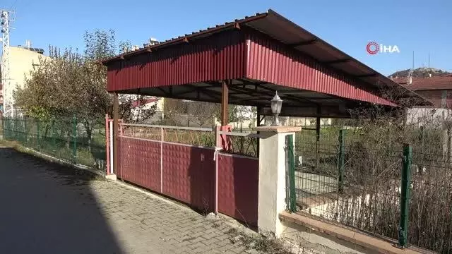 Portakal alamadığını iddia eden kadın, memleketindeki vatandaşları şaşkına çevirdi